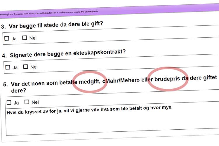 UDI ønsker å vite hvor mye søkeren har betalt i medgift/brudepris.